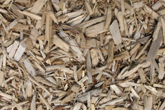 biomass boilers Burnt Ash